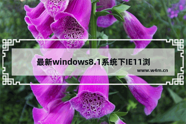 最新windows8.1系统下IE11浏览器无法打开本地网站的解决方法介绍