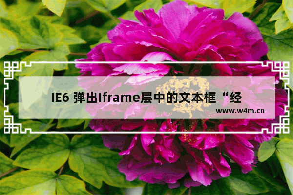 IE6 弹出Iframe层中的文本框“经常”无法获得输入焦点