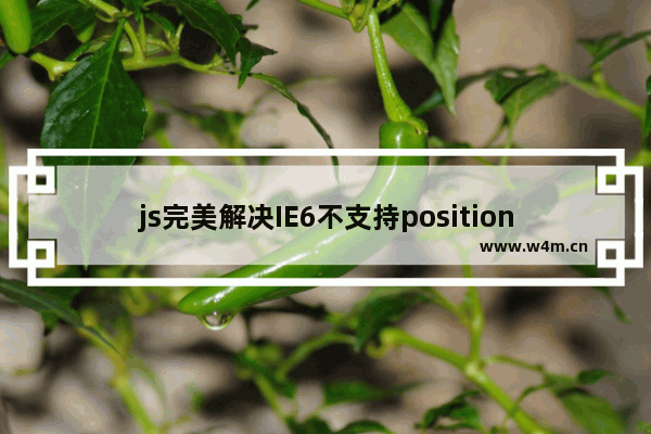 js完美解决IE6不支持position:fixed的bug