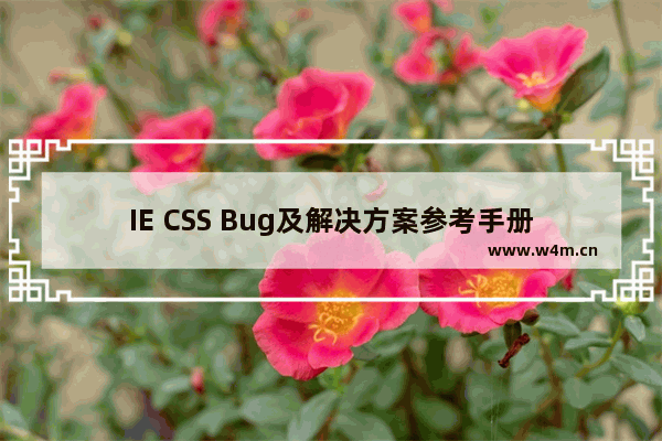 IE CSS Bug及解决方案参考手册