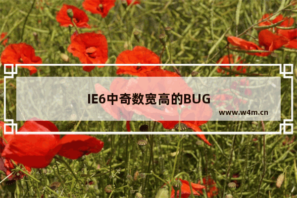 IE6中奇数宽高的BUG