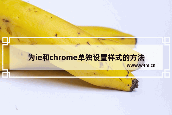 为ie和chrome单独设置样式的方法