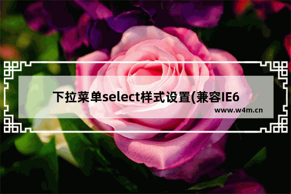 下拉菜单select样式设置(兼容IE6/IE7/IE8/火狐)