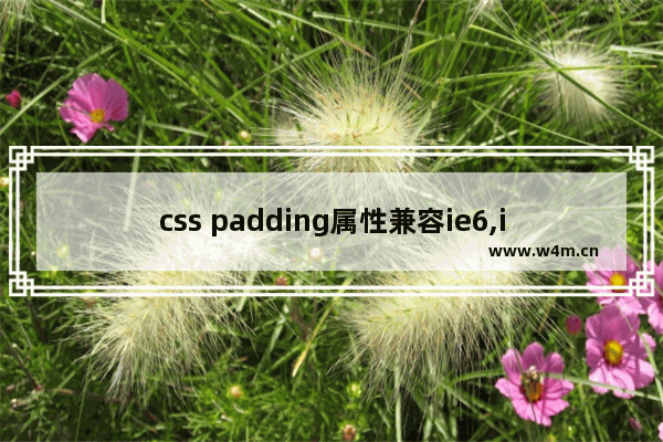 css padding属性兼容ie6,ie8,firefox实例详解