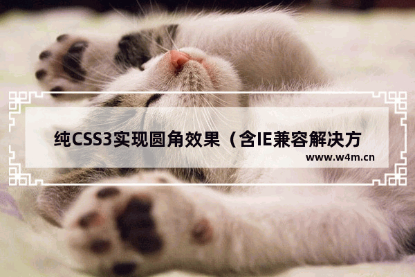 纯CSS3实现圆角效果（含IE兼容解决方法）