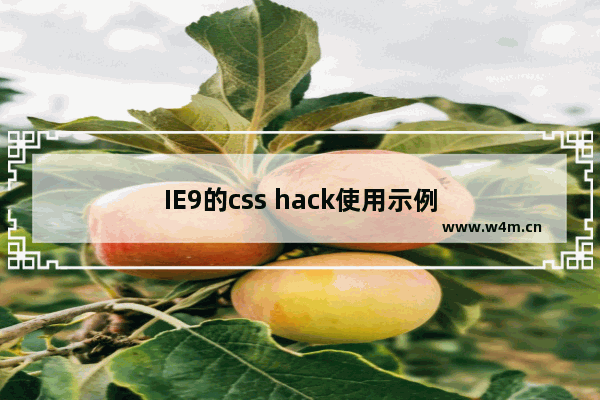 IE9的css hack使用示例