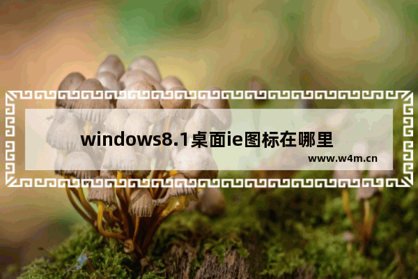 windows8.1桌面ie图标在哪里 让windows8.1系统桌面显示IE图标的方法图解