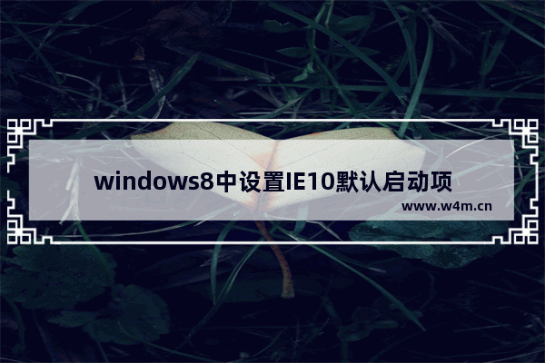 windows8中设置IE10默认启动项不让其根据环境打开相应版本的IE