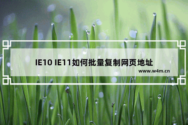 IE10 IE11如何批量复制网页地址