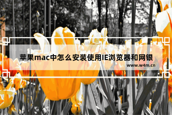 苹果mac中怎么安装使用IE浏览器和网银