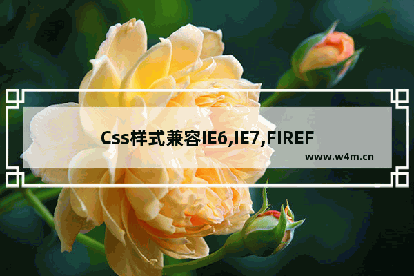 Css样式兼容IE6,IE7,FIREFOX的浏览器的写法示例介绍