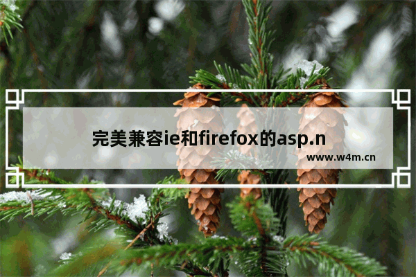 完美兼容ie和firefox的asp.net网站加入收藏和设置主页