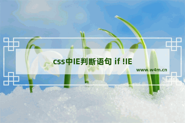 css中IE判断语句 if !IE