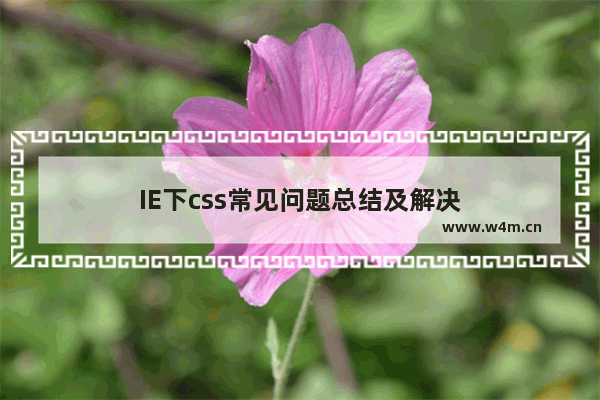 IE下css常见问题总结及解决