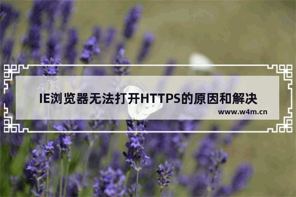 IE浏览器无法打开HTTPS的原因和解决办法