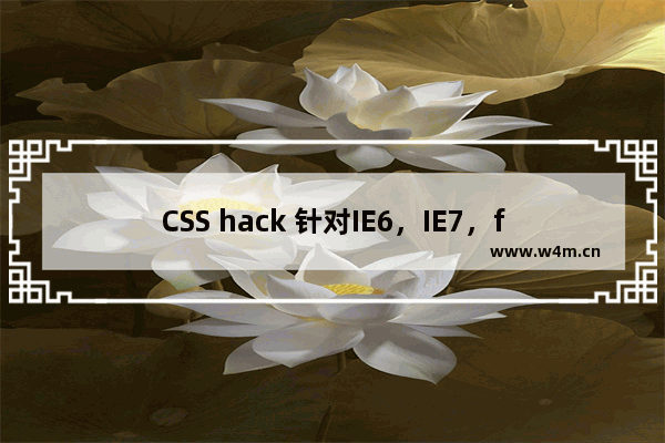 CSS hack 针对IE6，IE7，firefox显示不同效果