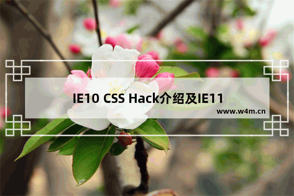 IE10 CSS Hack介绍及IE11的CSS Hack提前了解