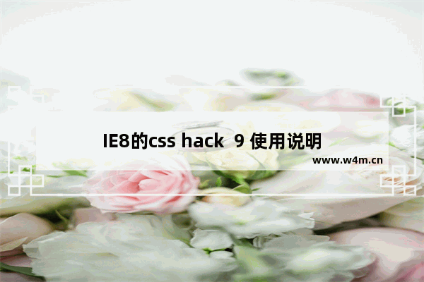 IE8的css hack  9 使用说明