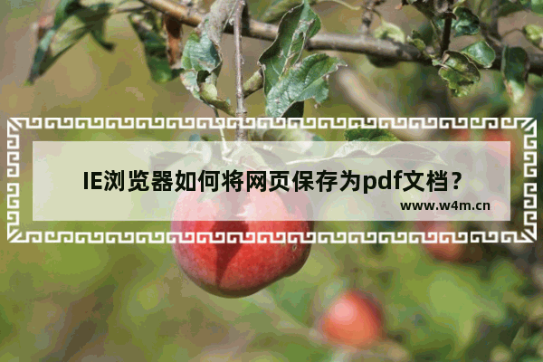 IE浏览器如何将网页保存为pdf文档？