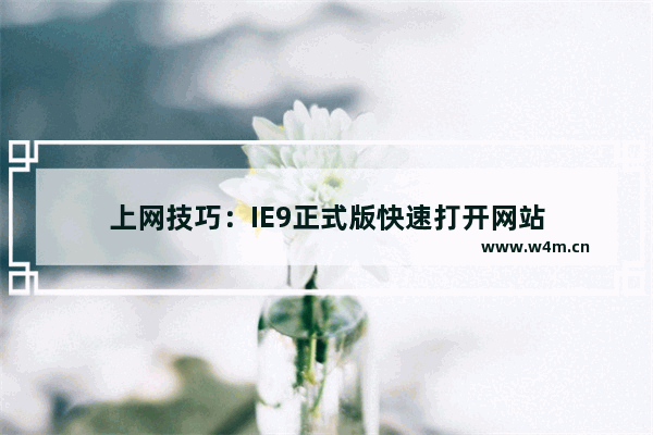 上网技巧：IE9正式版快速打开网站