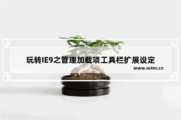 玩转IE9之管理加载项工具栏扩展设定