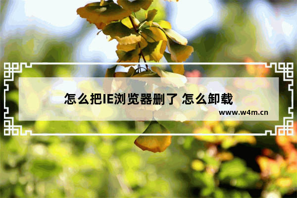 怎么把IE浏览器删了 怎么卸载