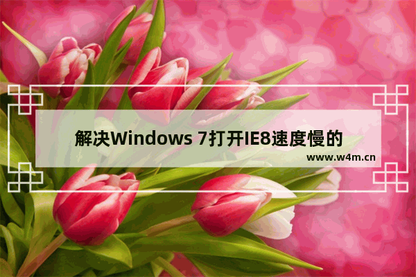 解决Windows 7打开IE8速度慢的问题