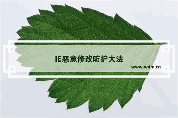 IE恶意修改防护大法