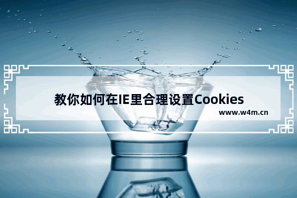 教你如何在IE里合理设置Cookies