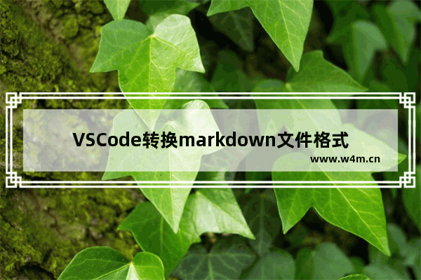 VSCode转换markdown文件格式步骤介绍