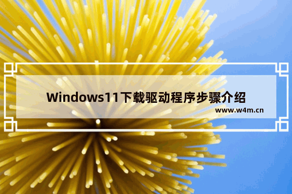 Windows11下载驱动程序步骤介绍