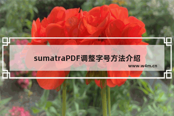 sumatraPDF调整字号方法介绍