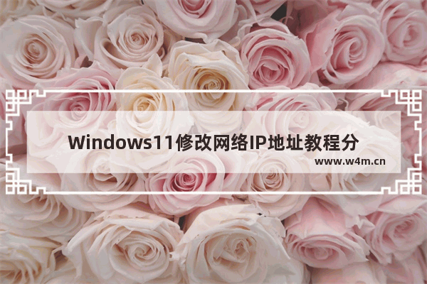 Windows11修改网络IP地址教程分享