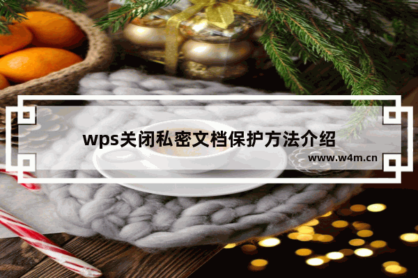 wps关闭私密文档保护方法介绍