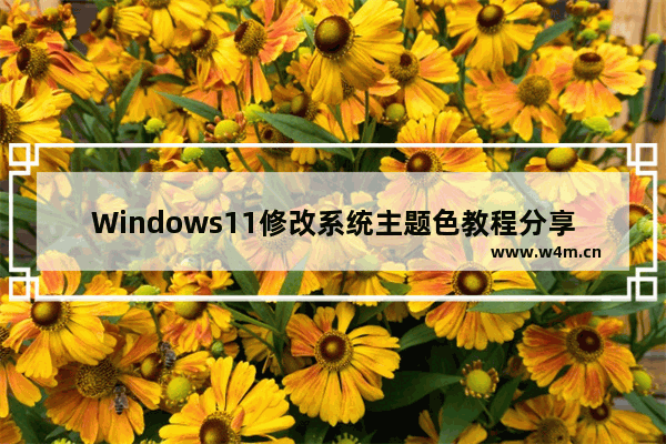 Windows11修改系统主题色教程分享