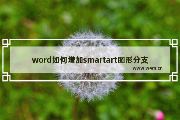 word如何增加smartart图形分支