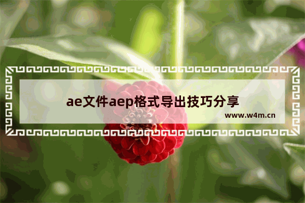 ae文件aep格式导出技巧分享