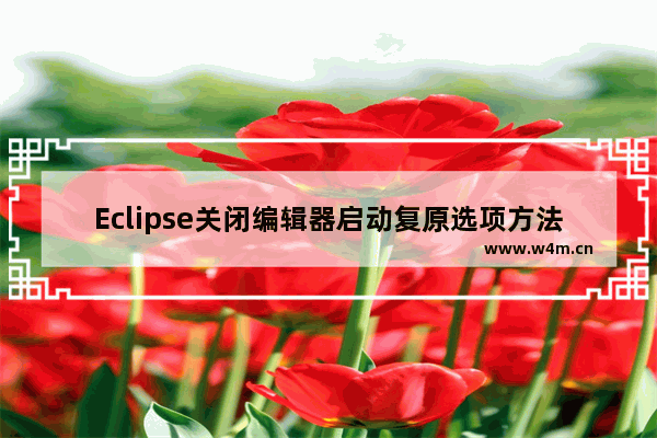 Eclipse关闭编辑器启动复原选项方法介绍