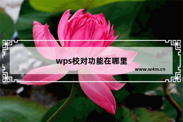 wps校对功能在哪里