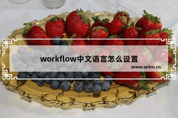 workflow中文语言怎么设置