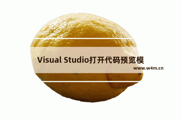 Visual Studio打开代码预览模式方法介绍