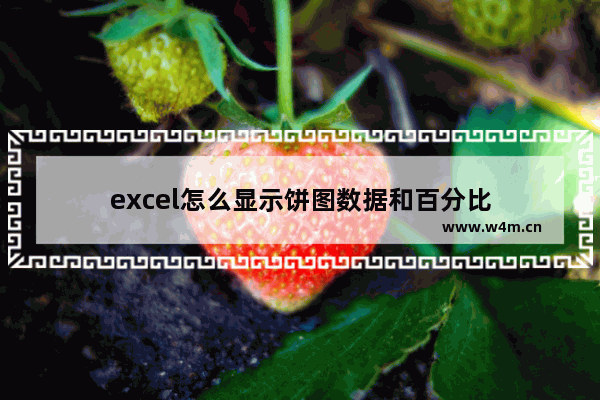 excel怎么显示饼图数据和百分比