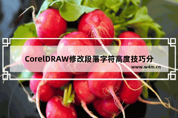 CorelDRAW修改段落字符高度技巧分享