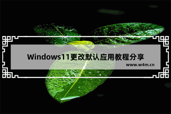 Windows11更改默认应用教程分享