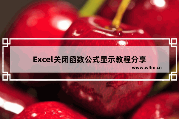 Excel关闭函数公式显示教程分享