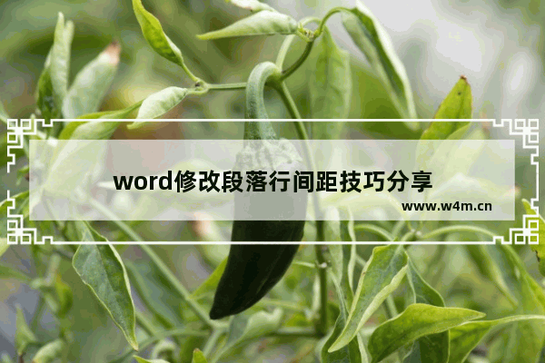 word修改段落行间距技巧分享