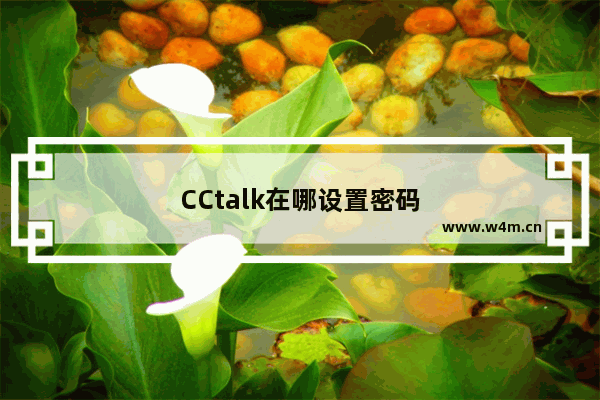 CCtalk在哪设置密码