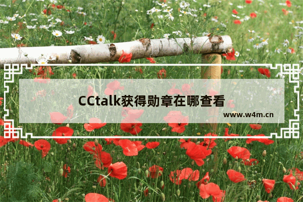 CCtalk获得勋章在哪查看