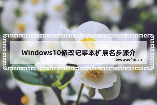 Windows10修改记事本扩展名步骤介绍