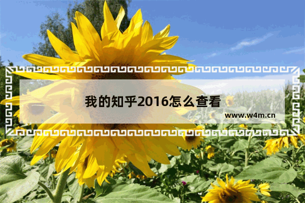 我的知乎2016怎么查看